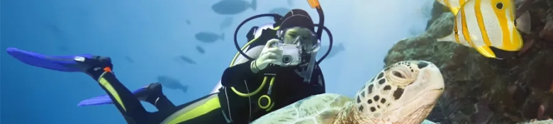 Scuba diving as an activity