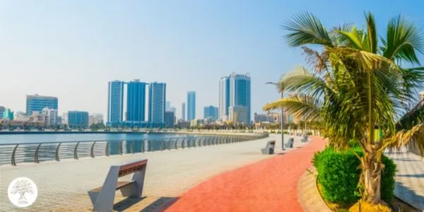 A path by the beach with buildings in the distance 